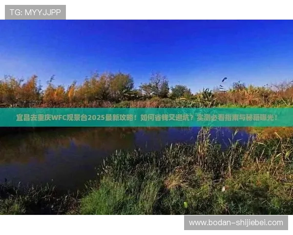 买波胆稳赢方法避坑指南品牌入口下载评测